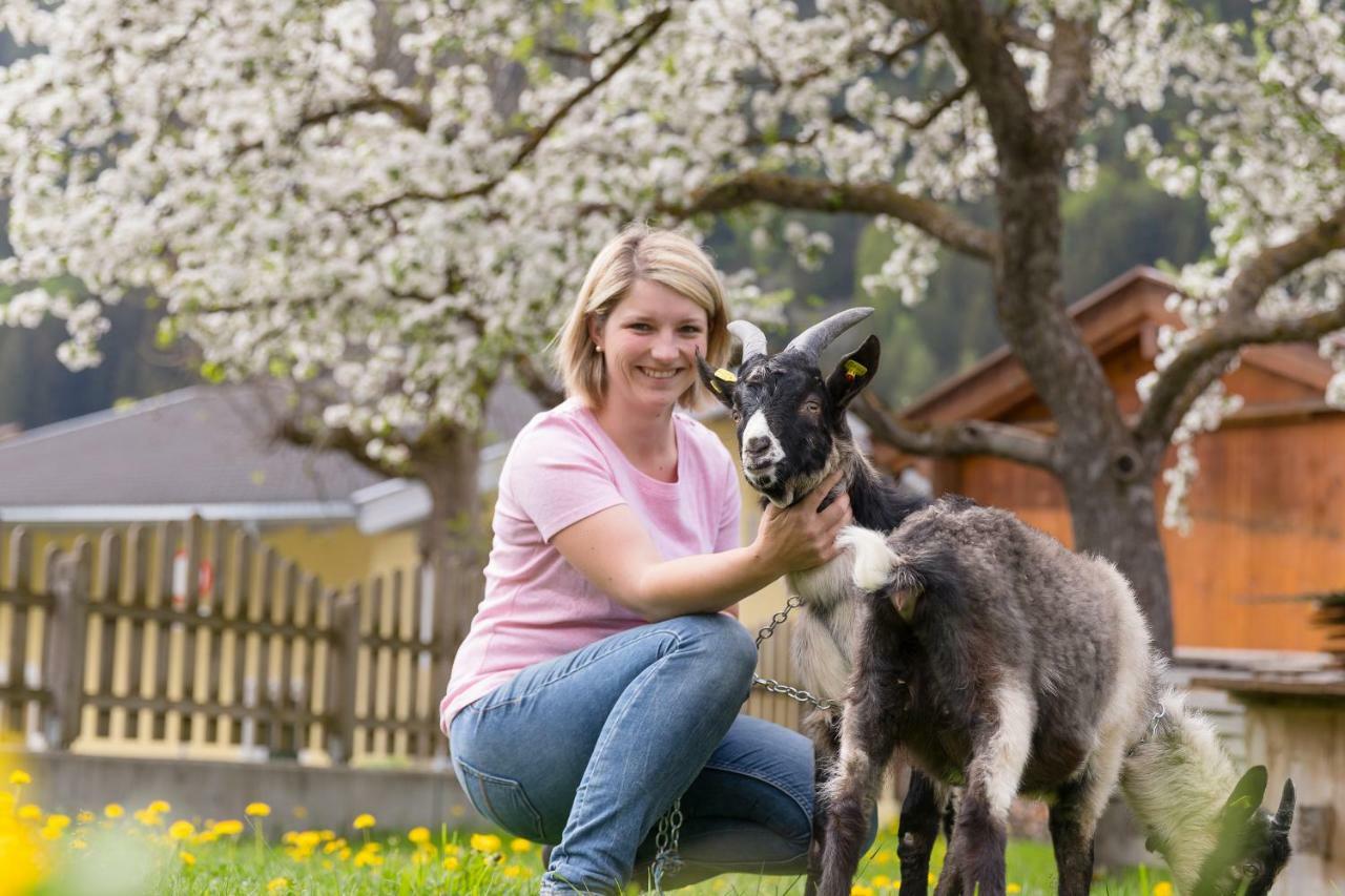 Hieserhof Neustift im Stubaital Zewnętrze zdjęcie