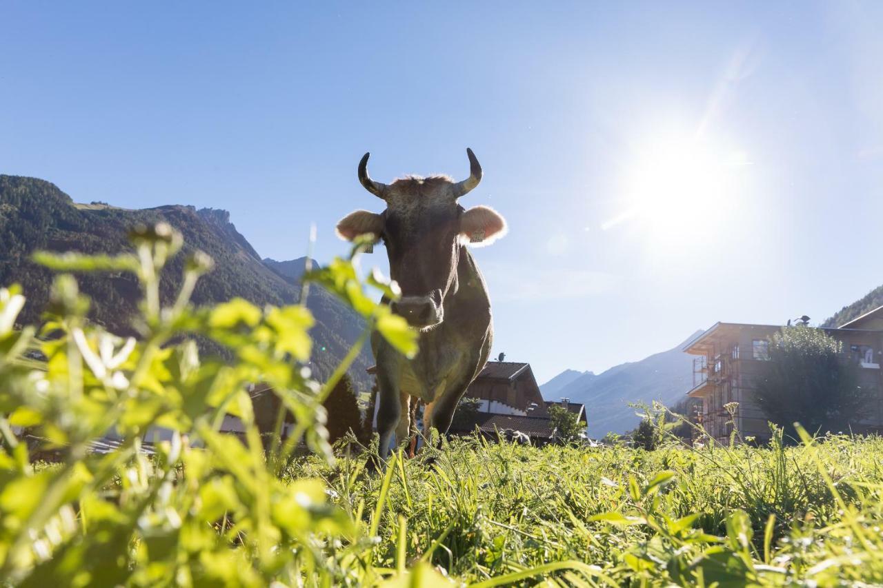 Hieserhof Neustift im Stubaital Zewnętrze zdjęcie